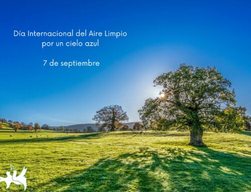 Día Internacional del Aire Limpio por un cielo azul