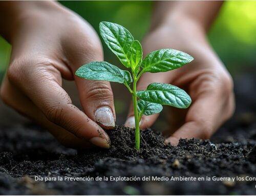 Día para la Prevención de la Explotación del Medio Ambiente en la Guerra y los Conflictos Armados